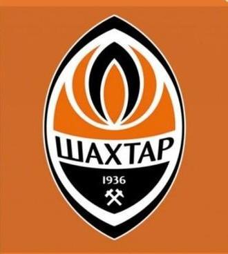 导致矿工队 导致矿工队