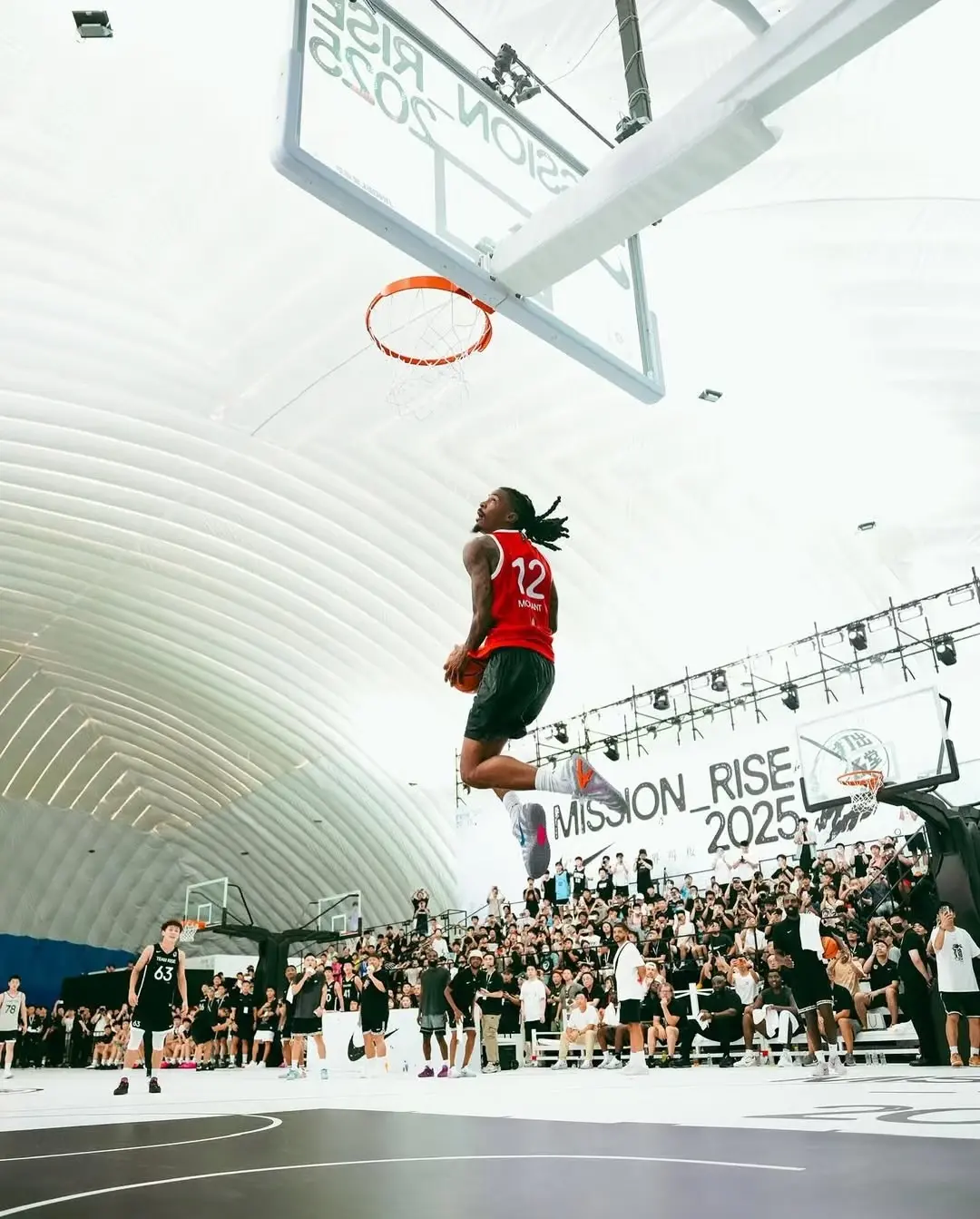 乌度卡虽然, Analy, amp